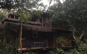 Pousada Rainforest House - Ilha Grande